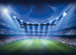 PP电子-维特塞尔加盟乌迪内斯，一年合同开启意甲新征程