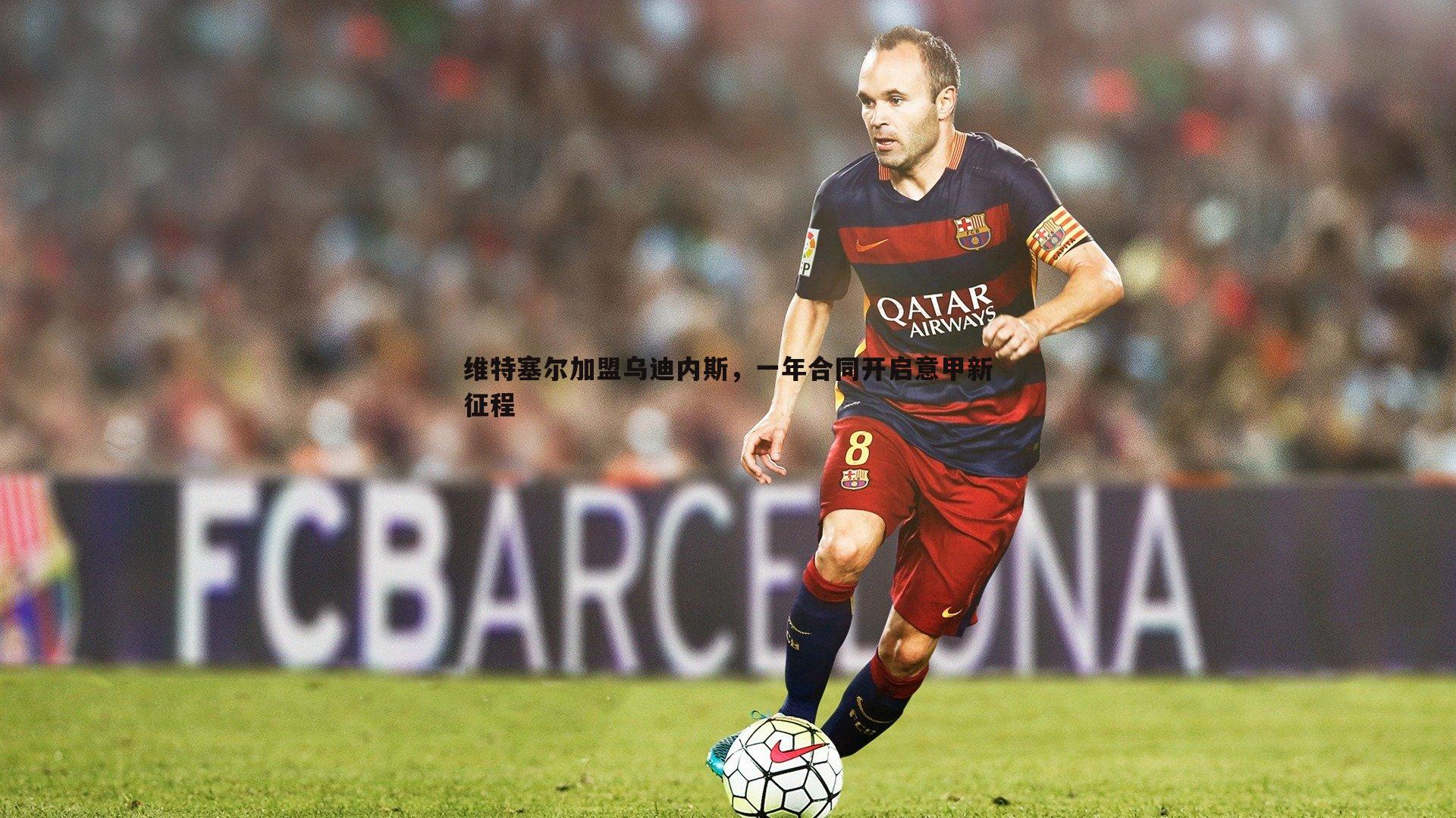 维特塞尔加盟乌迪内斯，一年合同开启意甲新征程