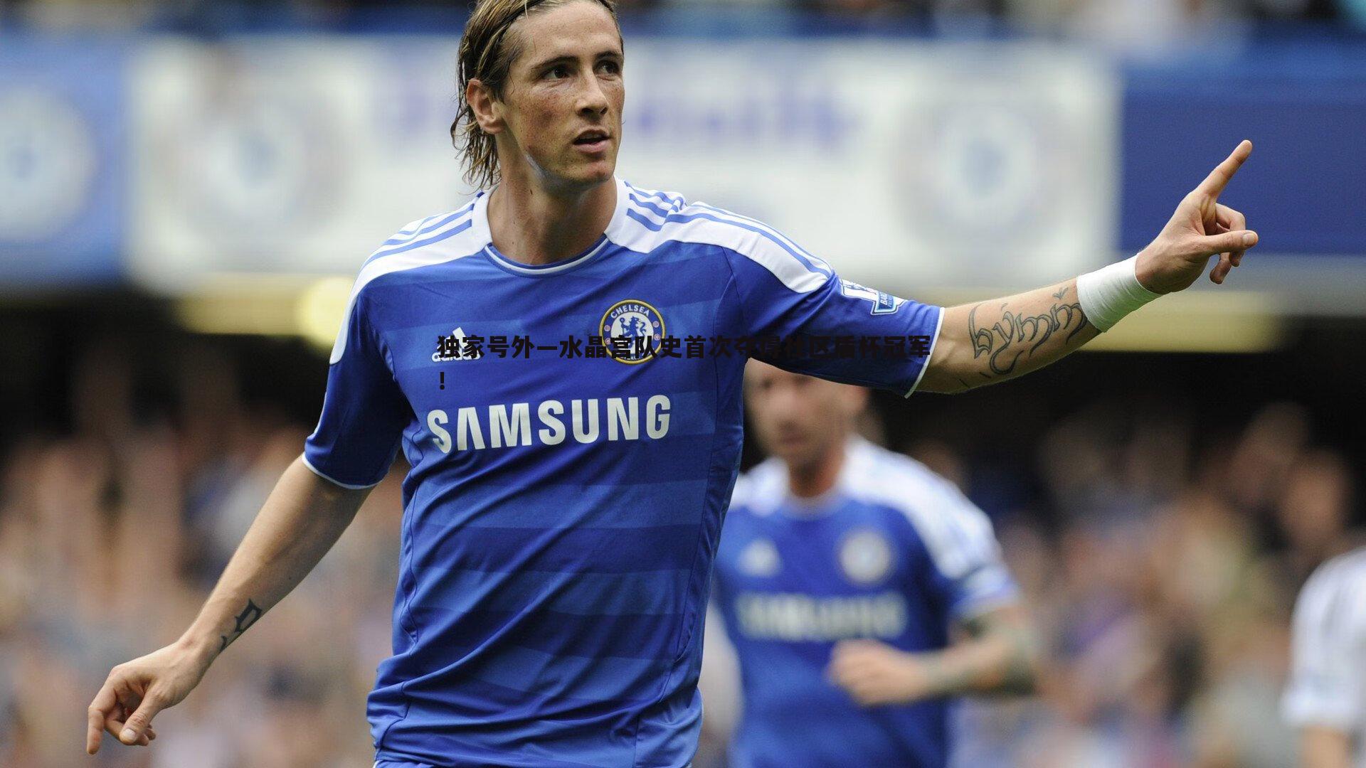 独家号外—水晶宫队史首次夺得社区盾杯冠军!