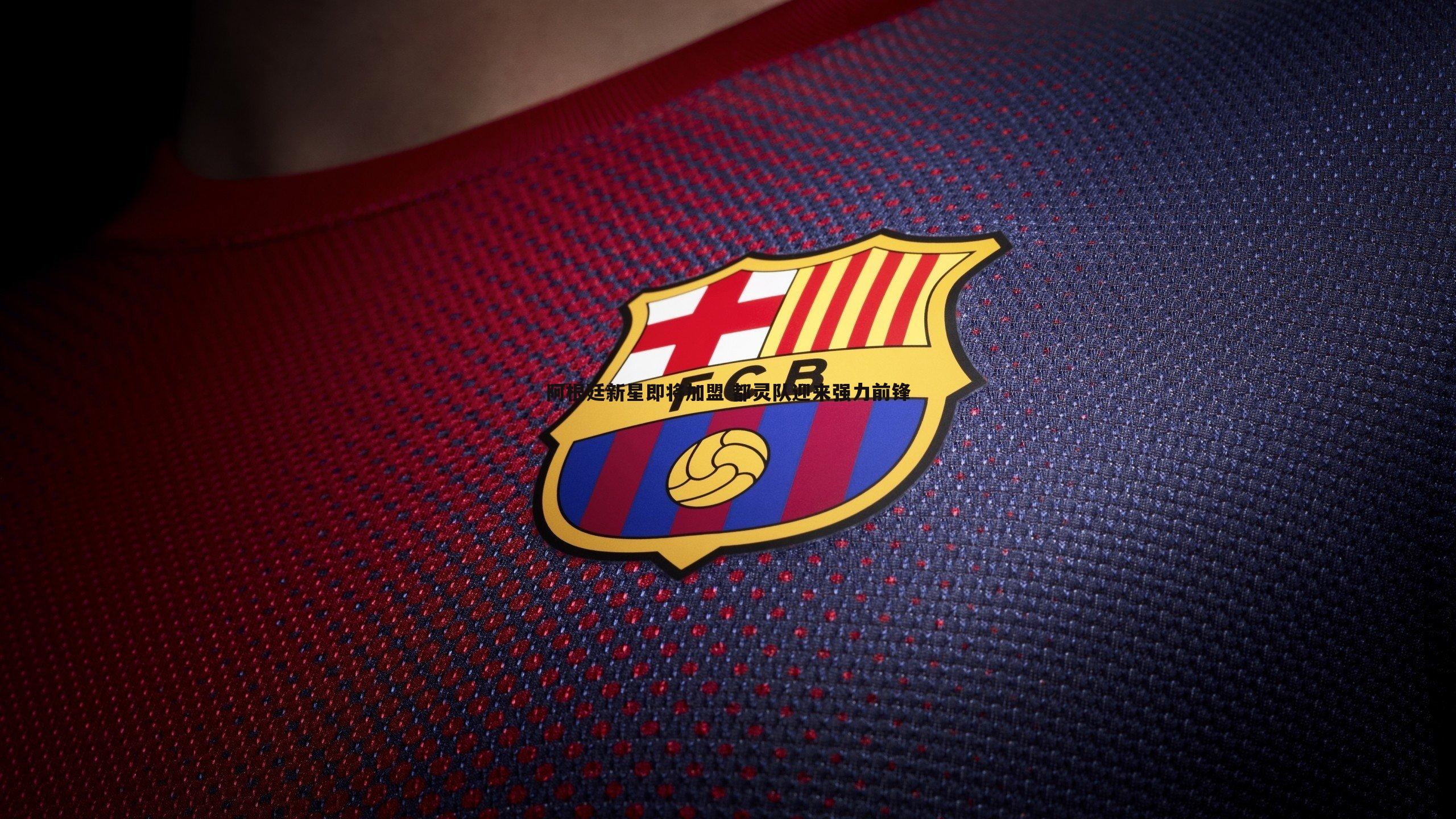 阿根廷新星即将加盟 都灵队迎来强力前锋